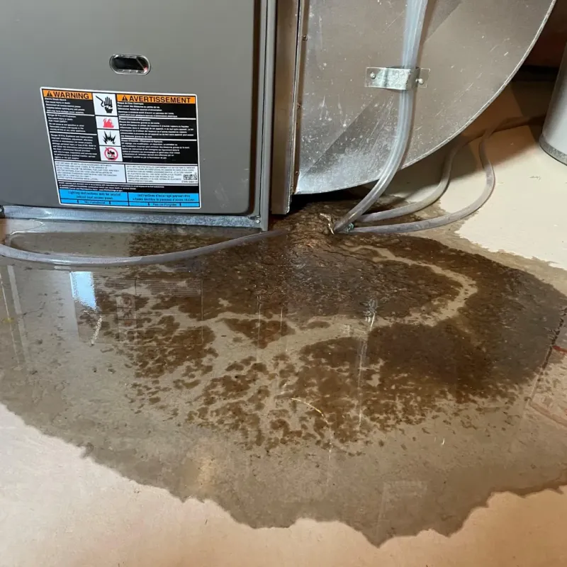 Appliance Leak Cleanup in Frisco City, AL